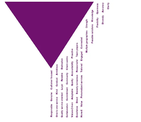 Alyafi-IP-logo