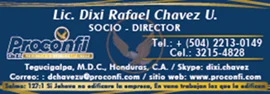 Profesionales-de-la-Contabilidad-y-las-Finanzas-S-de-R.L.-PROCONFI